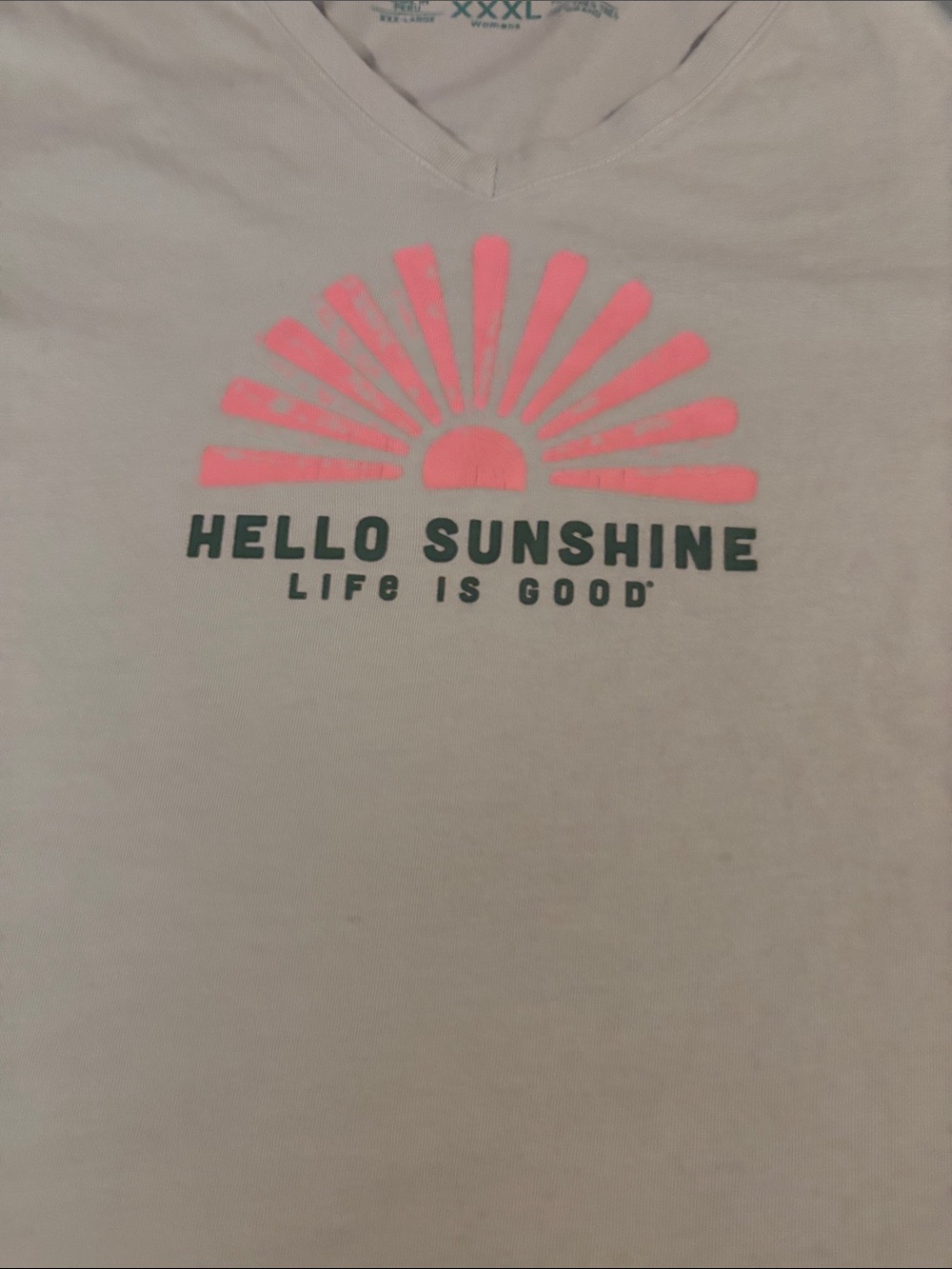 Life Is Good Men's V-Neck Tee in Light Gray with Pink Sunrise Graphic